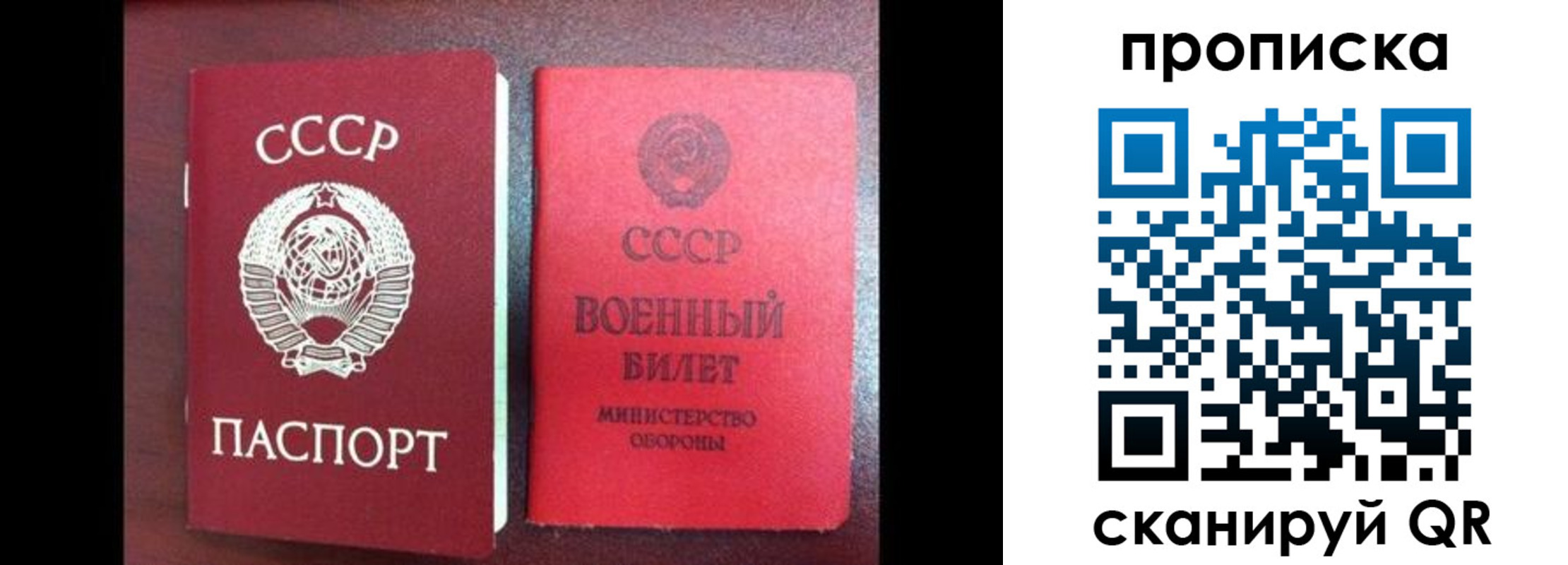 временная регистрация поиск в Луге